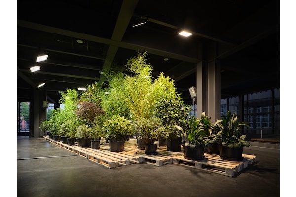 Eva-Maria Lopez, Phyto-Travellers (Jardin), 2025 © Eva-Maria Lopez