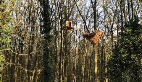 Bain de Forêt, 2021©Tadashi Kawamata